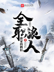 全职浪人