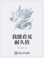 我能看见耐久值