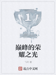 巅峰的荣耀之光