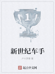 新世纪车手