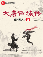 大唐西域传