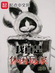 我真是休闲玩家