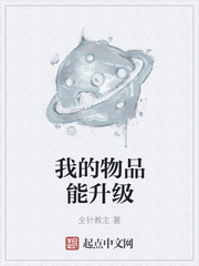 我的物品能升级
