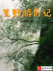 荒野游历记