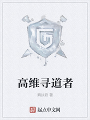 高维寻道者