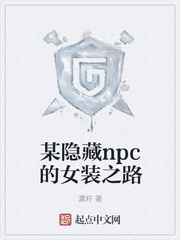 某隐藏npc的女装之路