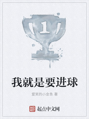 我就是要进球