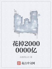 花掉20000000亿
