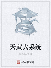 天武大系统
