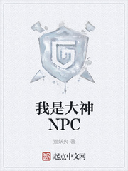 我是大神NPC