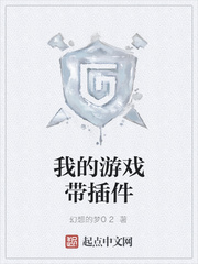 我的游戏带插件