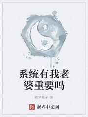 系统有我老婆重要吗