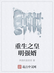 重生之皇明强婿