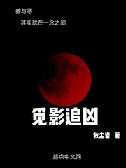 觅影追凶