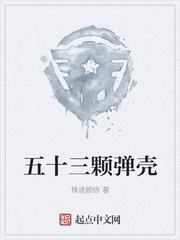 五十三颗弹壳