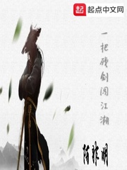 一把残剑闯江湖