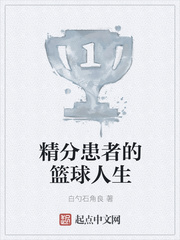 精分患者的篮球人生
