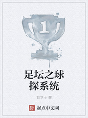 足坛之球探系统
