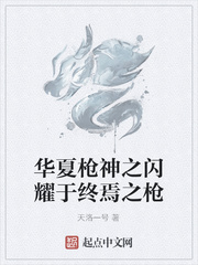 华夏枪神之闪耀于终焉之枪