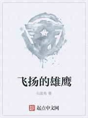 飞扬的雄鹰