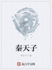 秦天子