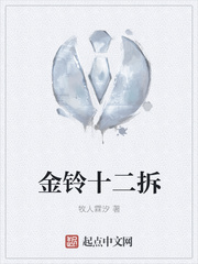 金铃十二拆