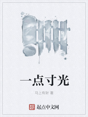 一点寸光