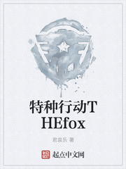 特种行动THEfox