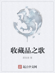 收藏品之歌