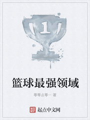 篮球最强领域