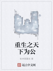 重生之天下为公