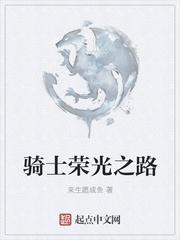 骑士荣光之路