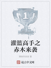 灌篮高手之赤木来袭