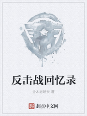 反击战回忆录