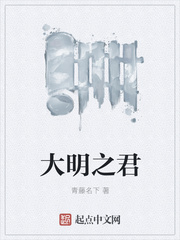 大明之君