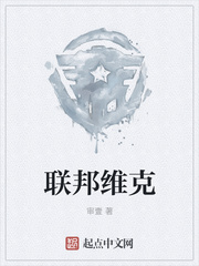 联邦维克