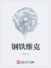 钢铁维克