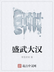盛武大汉