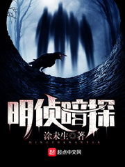 明侦与暗探