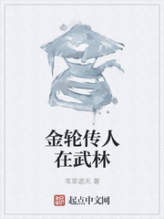 金轮传人在武林