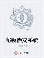 超级治安系统