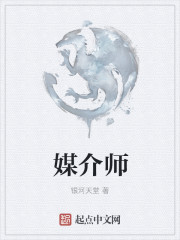 媒介师小说封面