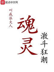 魂灵激斗狂潮