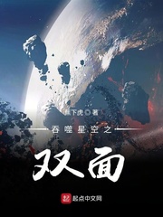 吞噬星空之双面小说封面