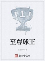 至尊球王