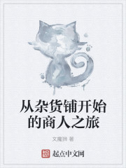 从杂货铺开始的商人之旅