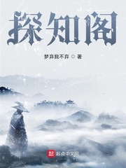 探知阁