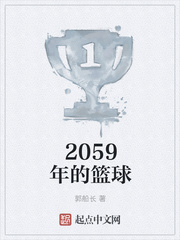 2059年的篮球小说封面