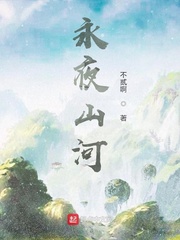 永夜山河小说封面