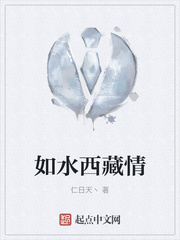 如水西藏情